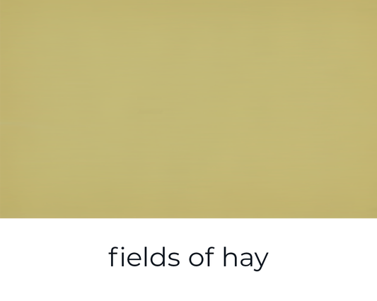 Paint of Walinoon - FIELDS OF HAY